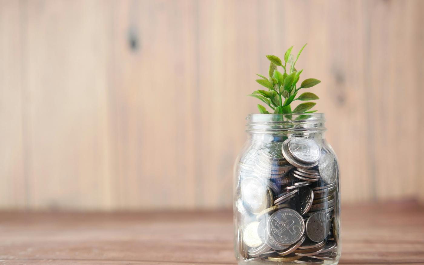 a glass jar filled with coins and a plant by Towfiqu barbhuiya courtesy of Unsplash.