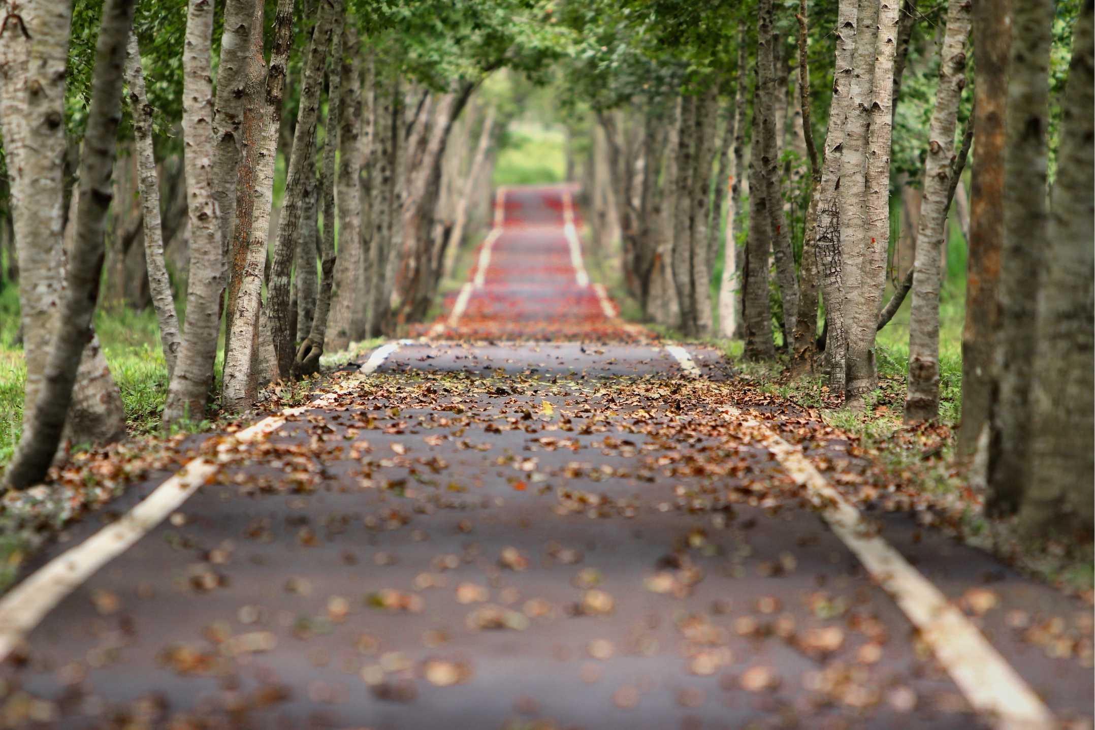 RPJ Advisors - Fee Only Financial Planning in Vienna, VA